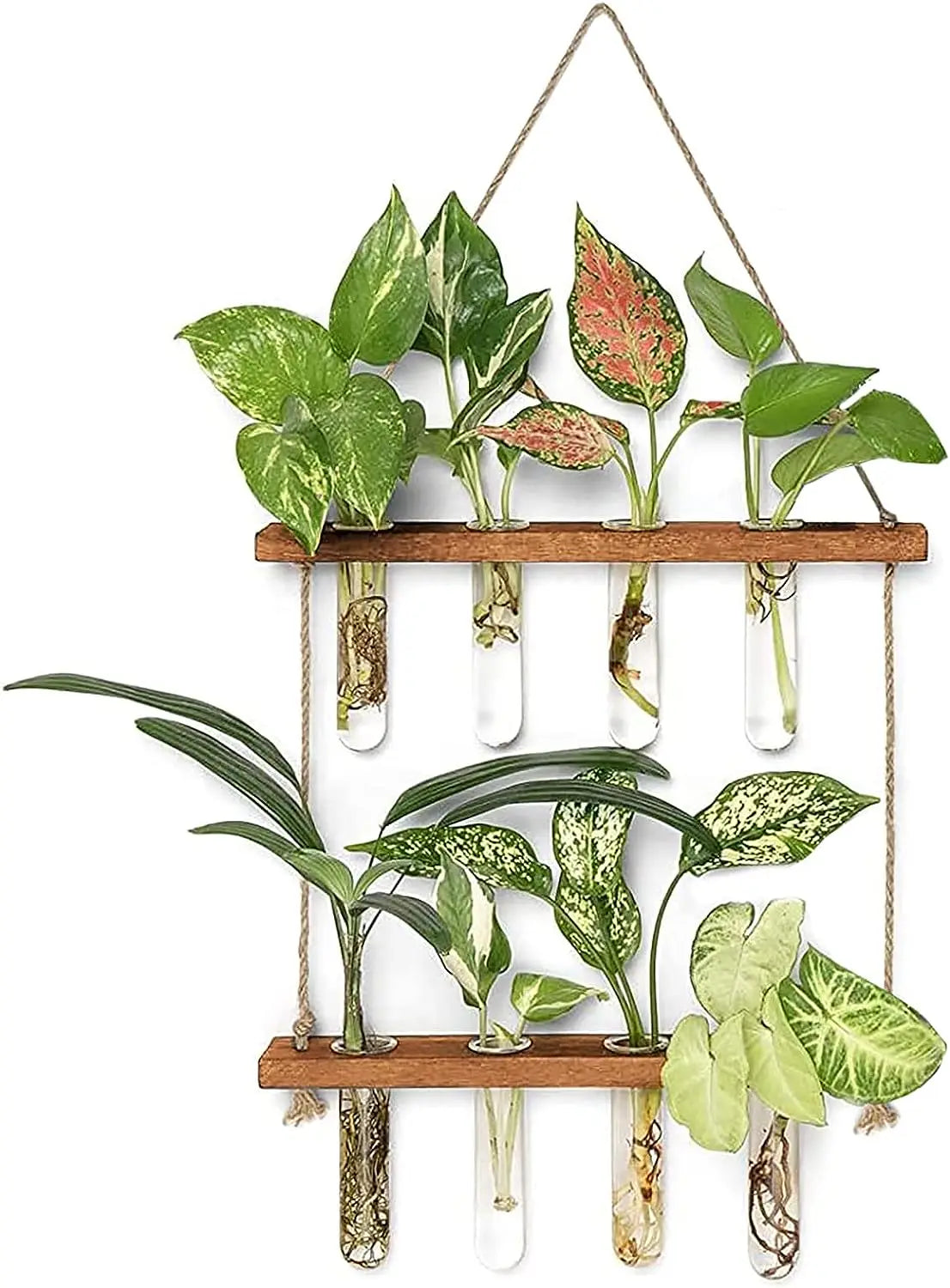 Glass Planter Vase with Wooden Stand